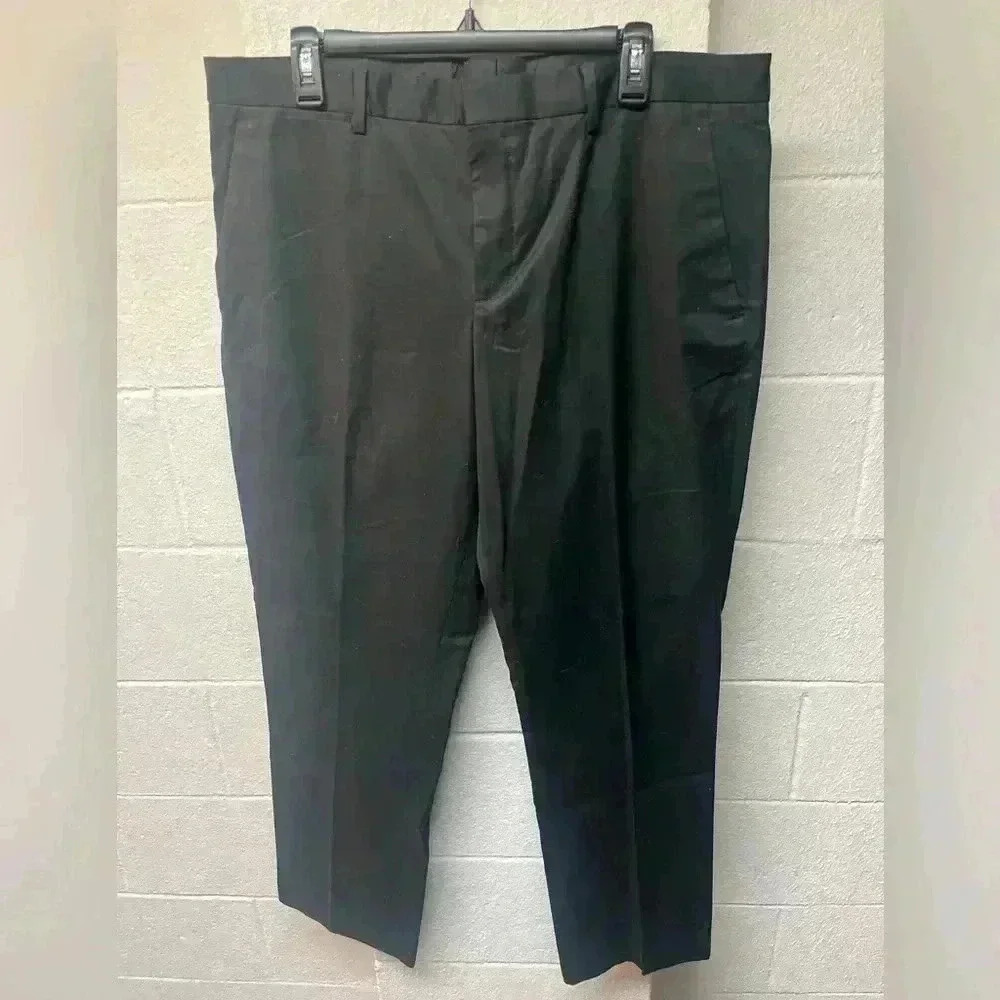 Express dress pants